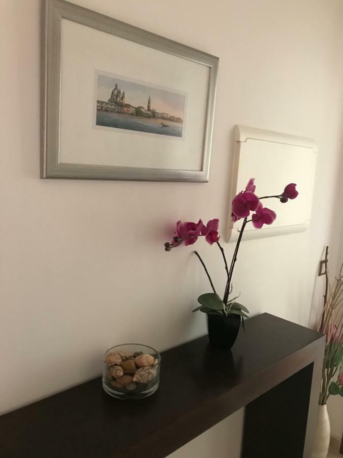 Apartamento Praia ساو مارتينهو دو بورتو المظهر الخارجي الصورة